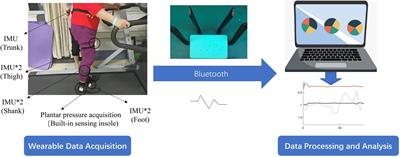 Interpretable evaluation for the Brunnstrom recovery stage of the lower limb based on wearable sensors